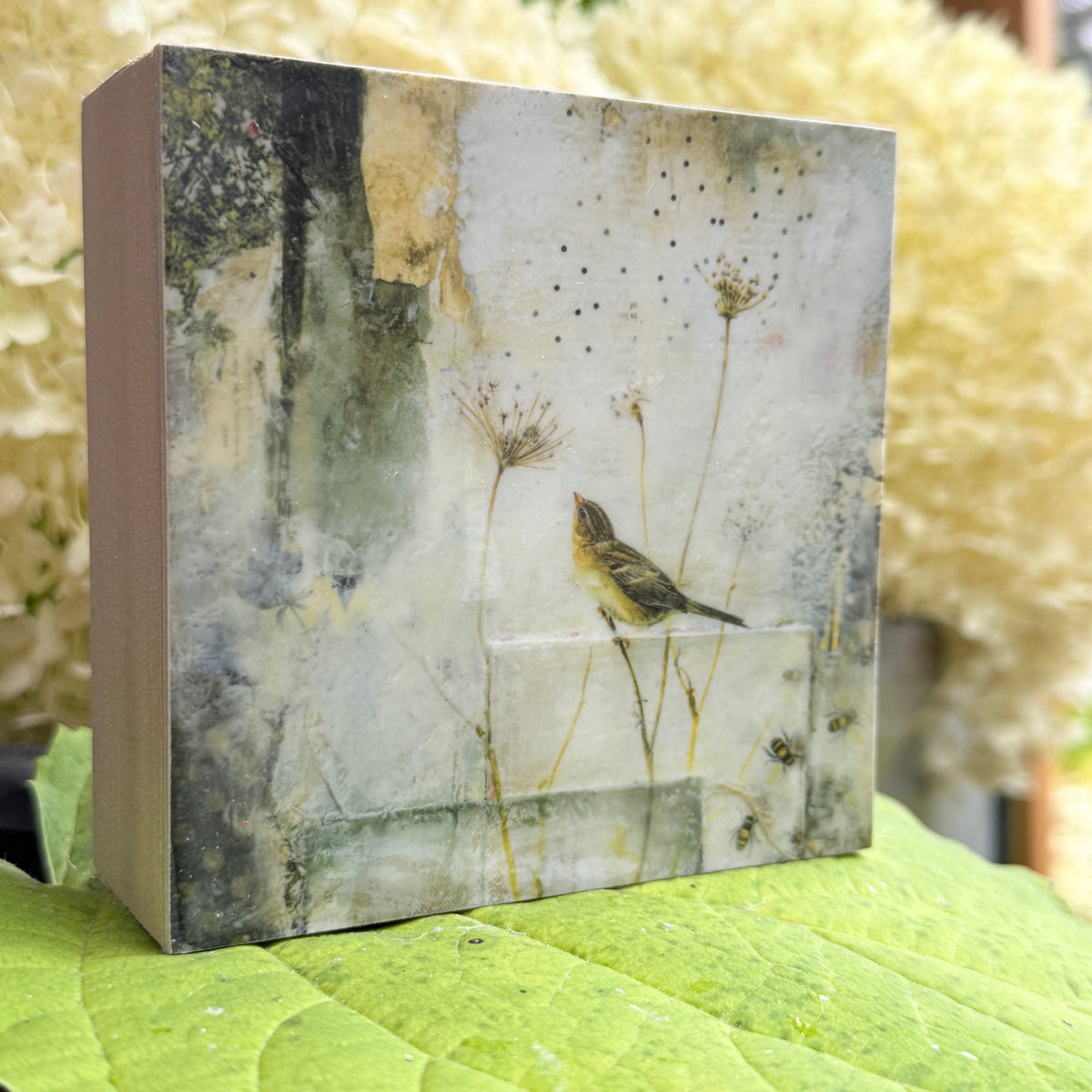 Where The Quiet Things Are